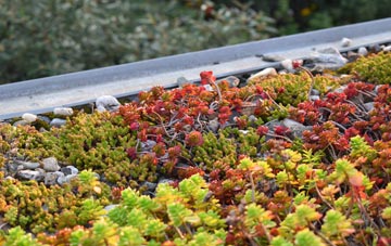 the cost of Ecclesville green roof installation