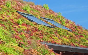 Ecclesville living roof systems