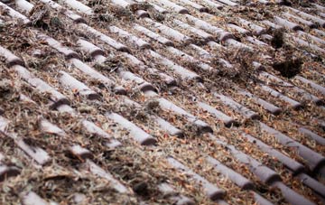 Ecclesville roof cleaning companies