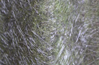 Ecclesville fibreglass roof work